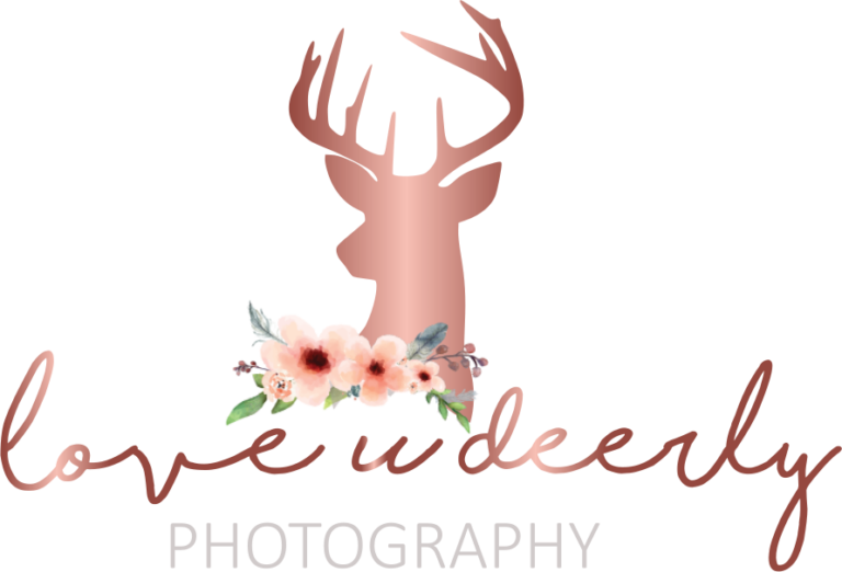 LuD-Logo-Transparent-no-border-768×522